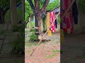 🙏🙏🙏🙏🙏🙏🌿🌿🌿🦚🦚🦚🦚🦚🦚🦚