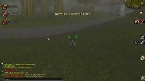 GM COMMAND: GET NPC ID (arcemu