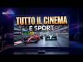 Scopri Sky Stream: La Tua TV, Semplificata!