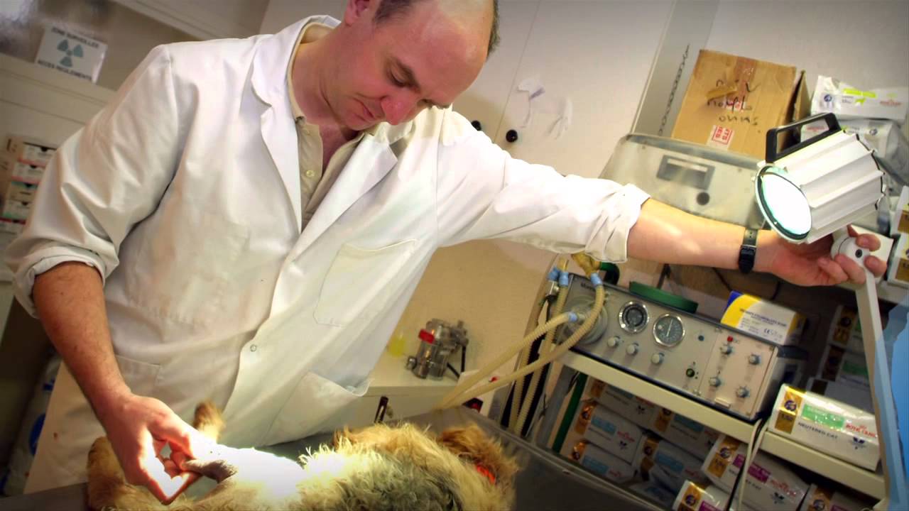 Le Laboratoire de Dosimétrie de l'IRSN - YouTube