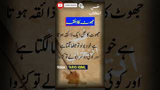 Jhoot Kaa Zaiqa Best Urdu Quotes 107 Islamic Quotes Den Words