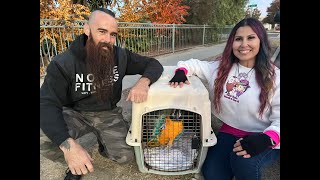 Catch of the Day: Lost Parrot Reunited with Owner