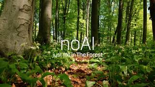 When the Forest Wakes | Spring Dawn Chorus for Focus & Calm