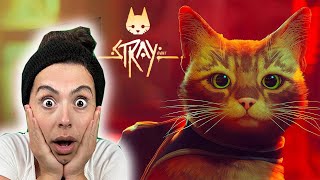 Bi̇r Kedi̇ni̇n Acikli Hi̇kayesi̇ Oyuna Gel