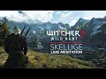 Witcher 3 Skellige Lake Ambience Music Meditate Like A Witcher mp3