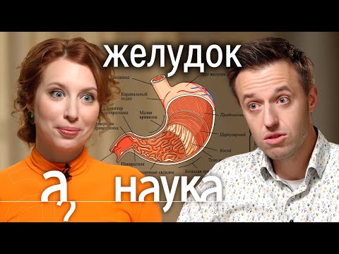 Видео: Вредно ли пылесосить желудок?