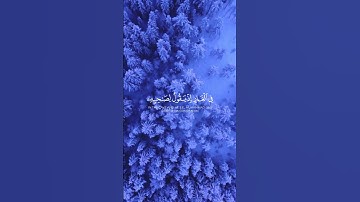 تلاوة جميلة بصوت محمد اللحيدان❤️‍🩹🌹اكتب شيء تؤجر عليه