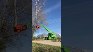 Merlo Roto Telehandler with grapple saw tree cutting