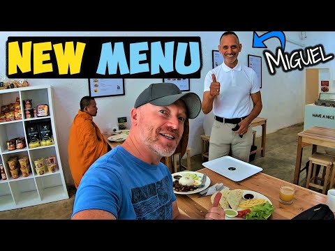 Back To The Best Vegan Restaurant in Chiang Mai