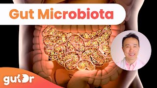 What is Gut Microbiota? | GutDr MiniExplainer