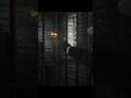 The Marble Way Red Dead Online RDO