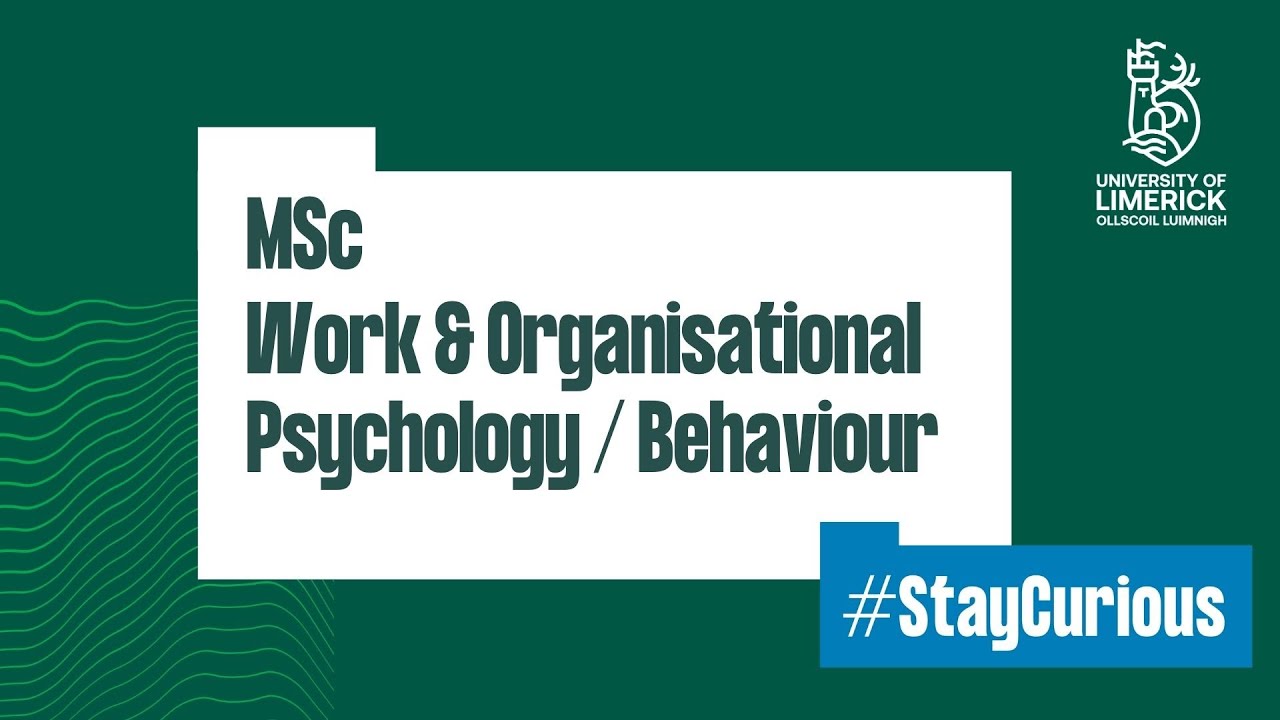 Information inar MSc in Work & Organisational Behaviour/Psychology YouTube