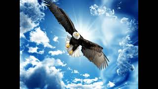 Leo Rojas El Condor Pasa #ЛеоРохас #LeoRojas