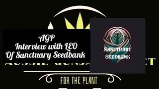 AGP: Interview with LEO of Sanctuary Seedbank (26/08/24).