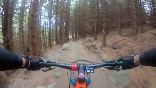 Devil's Elbow Flow Section Ticknock