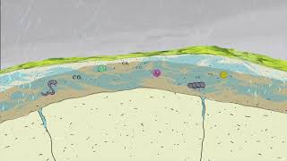 The World of Geology - Erosion and Limestone Pavement