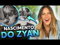 TUDO SOBRE O PARTO DO ZYAN E A VOLTA DO CANAL!!