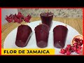 HELADOS DE FLOR DE JAMAICA/ DELICIOSOS HELADOS CASEROS / PALETAS HELADAS DE FLOR DE JAMAICA