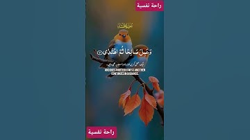 سورة طه #اكسبلور #قرآن #لايك #دويتو #المصحف #حالات_واتس #ترند #راحة_نفسية #تيك_توك #duet #trending