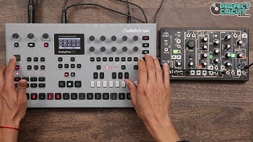 Elektron Analog Four MKII