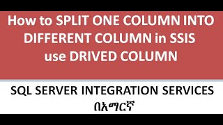 HOW TO SPLIT ONE COLUMN (STRING) INTO DIFFERENT COLUMN IN SSIS   በአማርኛ