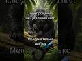 Твоё прощение как утренний свет