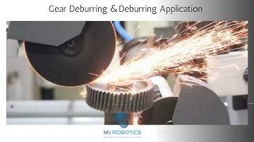 GEAR TEETH DEBURRING MACHINE - DD
