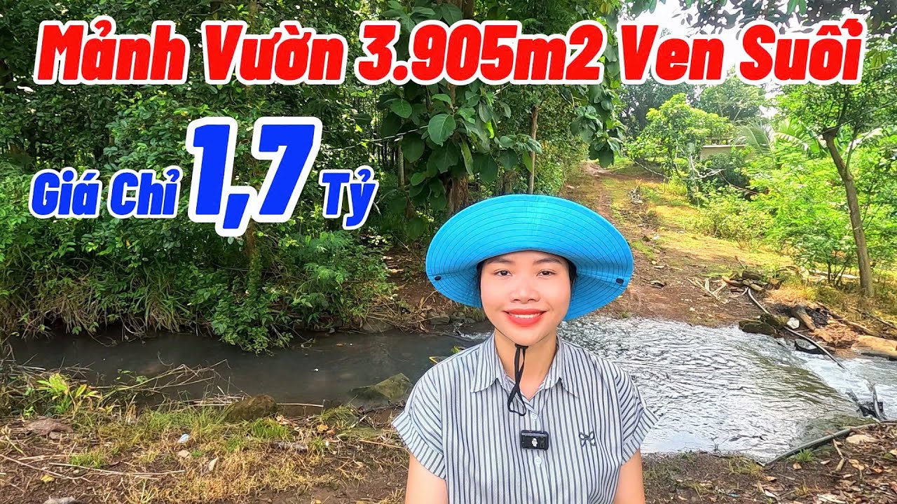 Mảnh Vườn Ven Suối Quá Đẹp Mà Giá Rẻ Bất Ngờ Luôn | NHÀ ĐẤT ĐỒNG NAI GIÁ RẺ