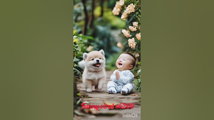 #bollywood #song #entertainment #music #love #funny  #you tube sorts#viralreels viral video