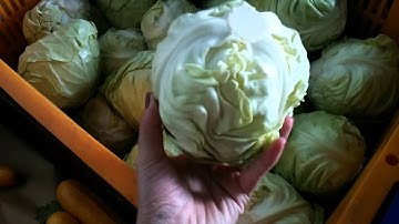 Cung Cấp Nông Sản Đà Lạt | Tuấn Nguyên Corp