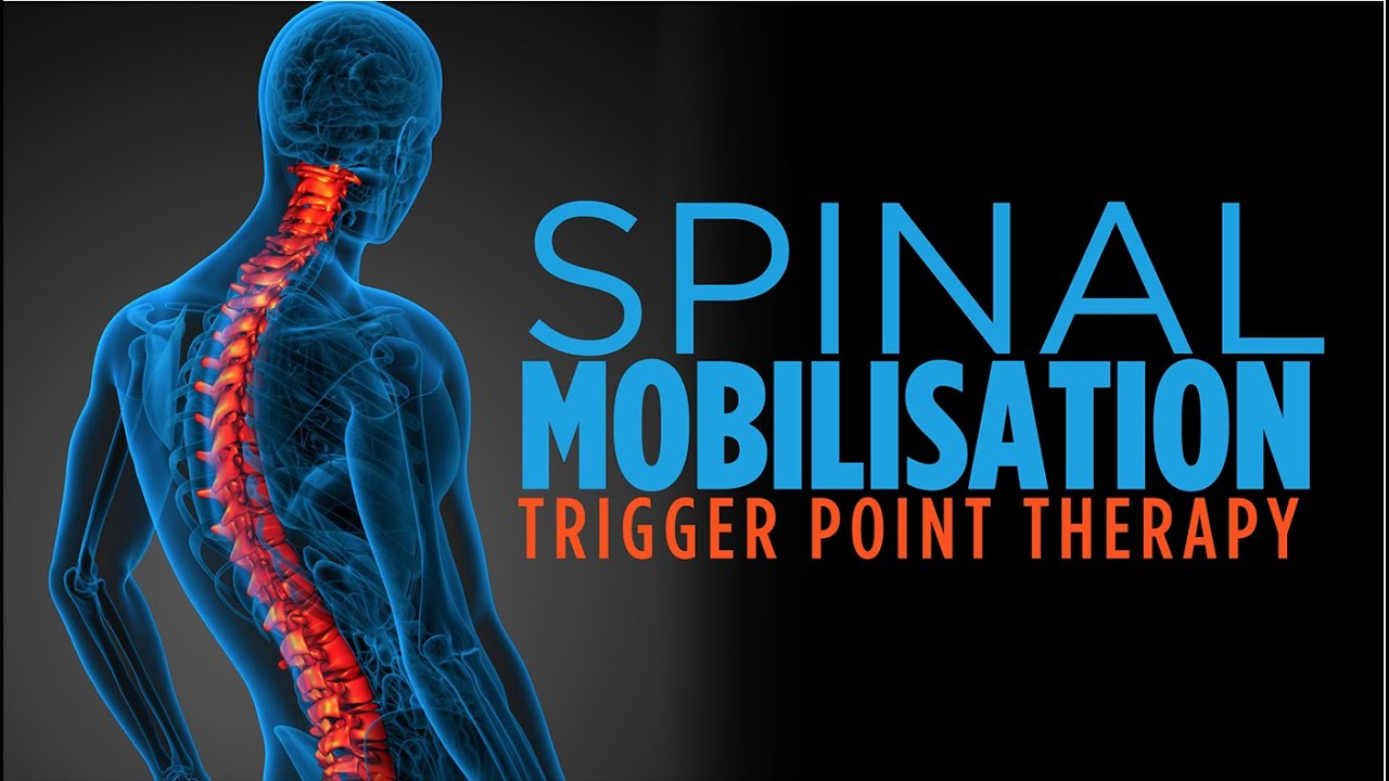 Trigger Point Therapy Spinal Mobilisation YouTube