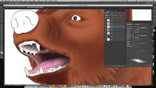 Bear Sketch colouring