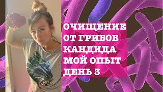 #антикандидозная ПРОГРАММА. МОЙ ОПЫТ. ДЕНЬ 3