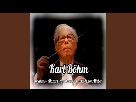 Ver Piano concerto No. 2 in B-Flat Major, Op. 83: I. Allegro non troppo en YouTube