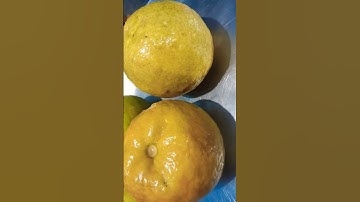 #ytshorts || #viral || #trending ||#viralvideo || #shorts || #shortvideo || #short || #viralvideo ||