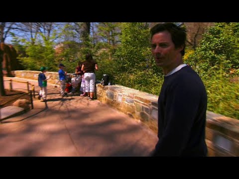 Film backdrop image for This Is What It Takes to Keep a Zoo Animal Happy (2017)