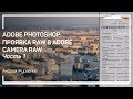 RAW-формат. Adobe Photoshop: проявка RAW в Adobe Camera Raw. Андрей Журавлев