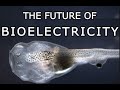 The future of bioelectricity