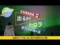 【カナダ旅行】 2泊3日!カナダ🇨🇦ホワイトホースでオーロラ観賞を目指す!✨【初めての海外ひとり旅】英語力ゼロの女、ひとりで海外に行く4 カナダ旅行 世界一周旅行