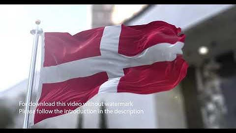 Sovereign Military Order of Malta flag with 3d effect blowing in the wind 3D Flag V2 long