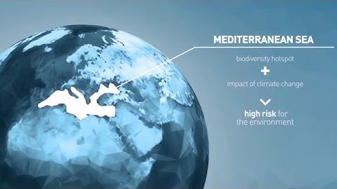 Mediterranean Marine Protected Areas as nature-based solutions to climate change