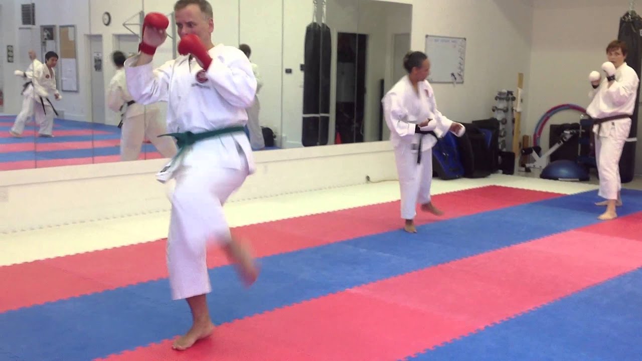 Martial Arts Kicking Drill, Mawashi Geri / Roundhouse Shotokan Karate