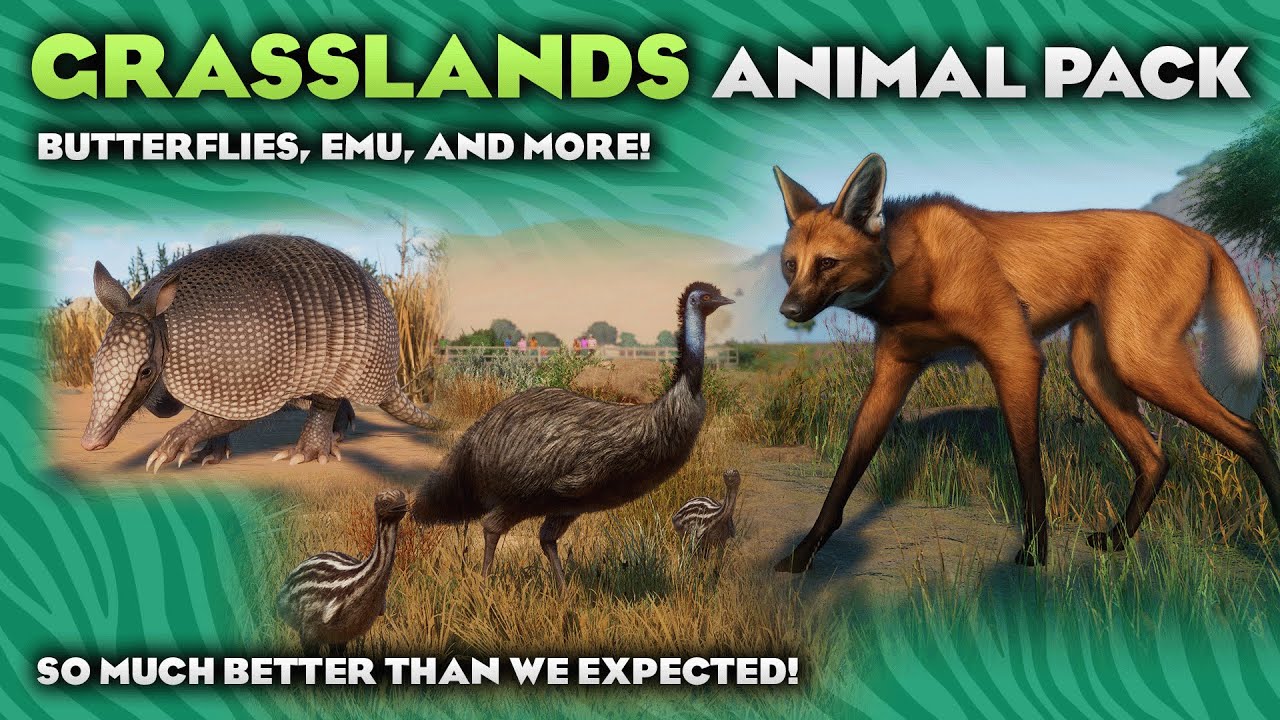 BUTTERFLIES?! Grasslands Animal Pack Zoo News YouTube