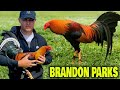 BEAUTIFUL FARM BY BRANDON PARKS