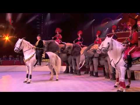 International Circus Festival   horses and elephants act