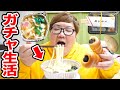 24時間ガチャガチャで取った食べ物だけで生活出来るのか サイコロの目でガチャの個数決める超過酷生活 24時間ガチャガチャで取った食べ物だけで生活出来るのか サイコロの目でガチャの個数決める超過酷生活