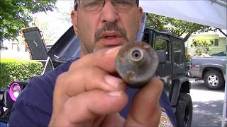 How To: Replace an Oil Pressure Sending Switch 1997 Jeep TJ Wrangler -  YouTube
