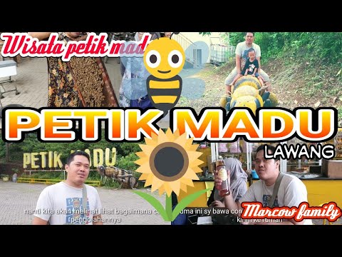 wisata-petik-madu-rimba-raya---madu-asli-langsung-dari-peternakannya