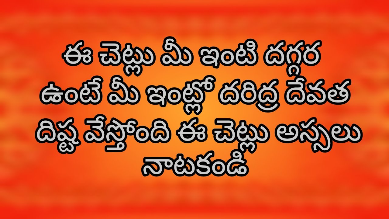 ఈ చెట్లు మీ ఇంటి దగ్గర ఉంటే మీ ఇంట్లో దరిద్ర దేవత దిష్ట వేస్తుంది అస్సలు ఈ చెట్లు అస్సలు నాటకండి 