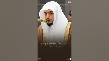 مقتطف من تلاوة فضيلة الشيخ #الوليد_الشمسان من مغرب 16 ربيع الآخر 1447هـ